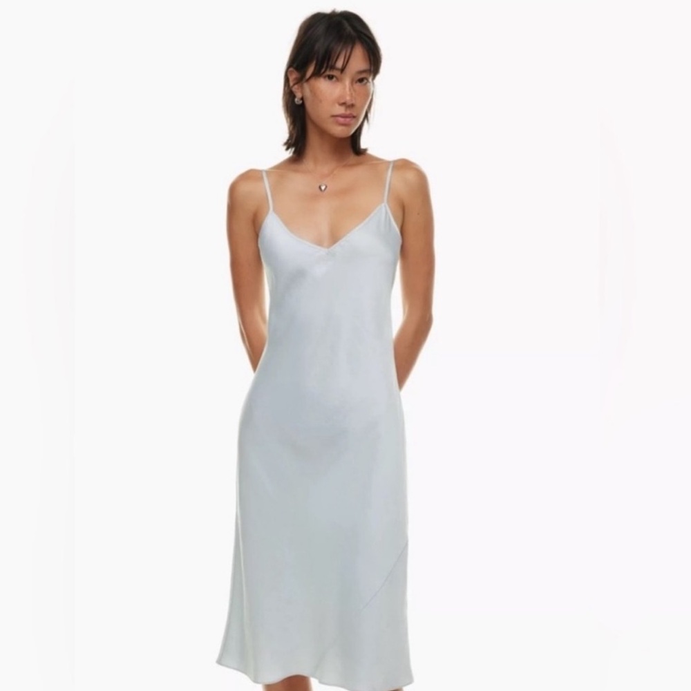 NWT Aritzia Wilfred Slip Dress